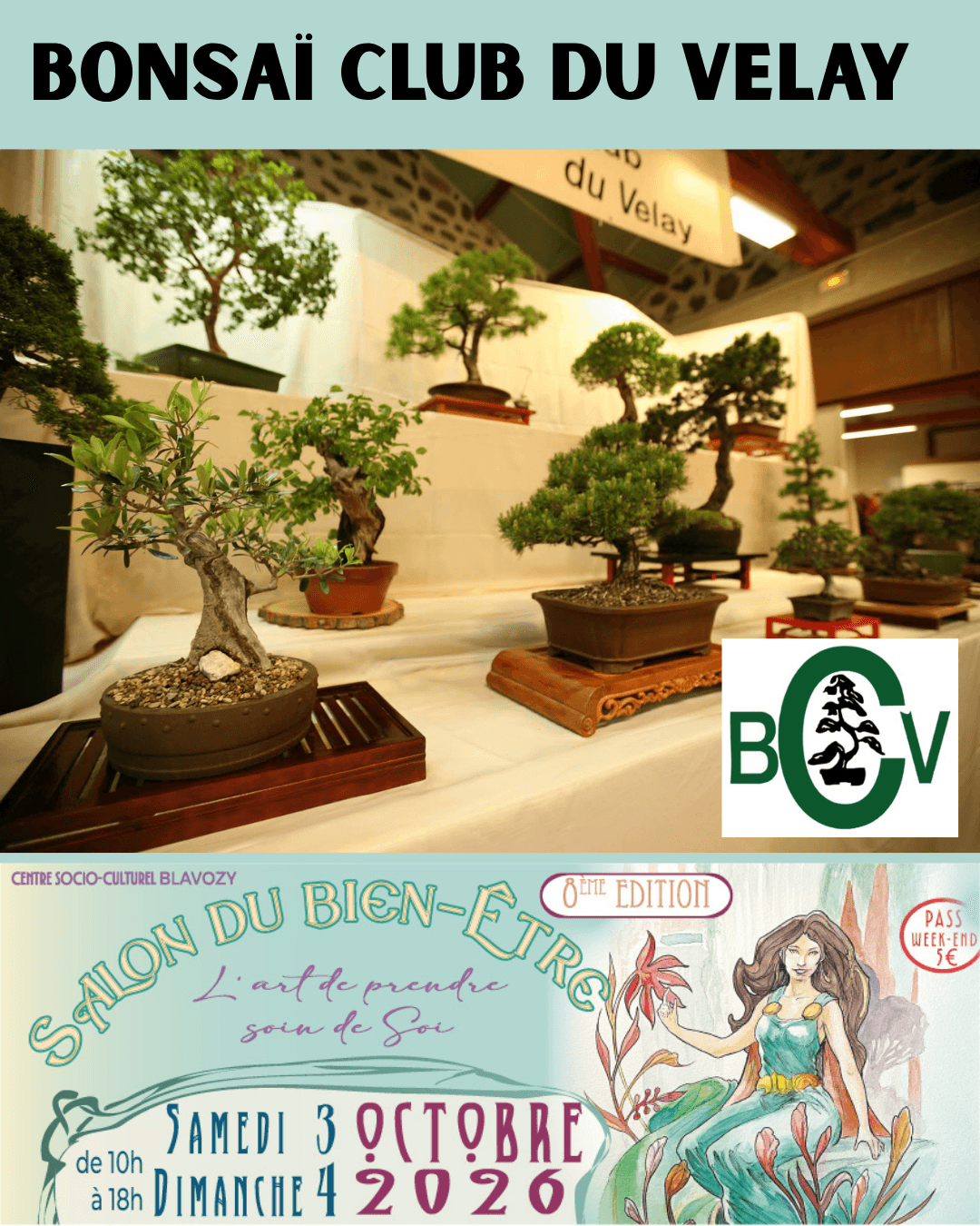 Bonsaï club du Velay