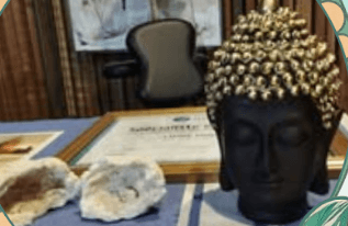 Delphine Shiatsu43 - Delphine Gire